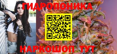 гашик Ижевск