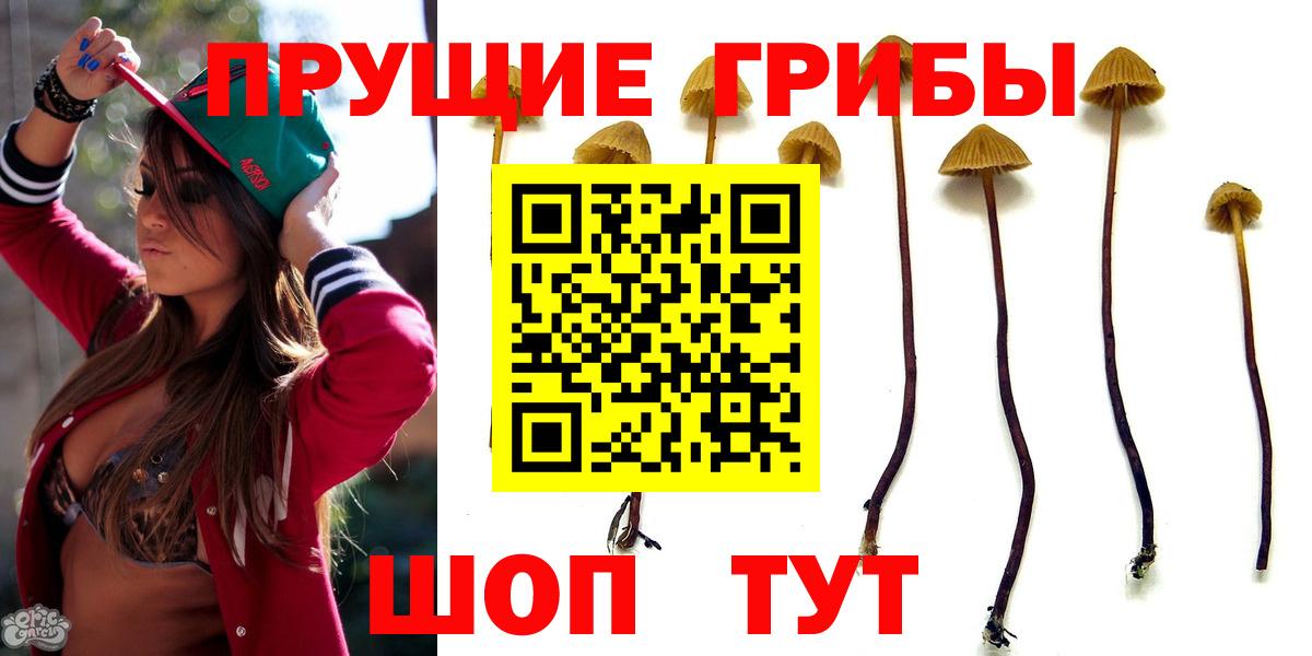 Морозовск  Псилоцибиновые грибы Cubensis  Галлюциногенные грибы GOLDEN TEACHER  Вход с VPN 